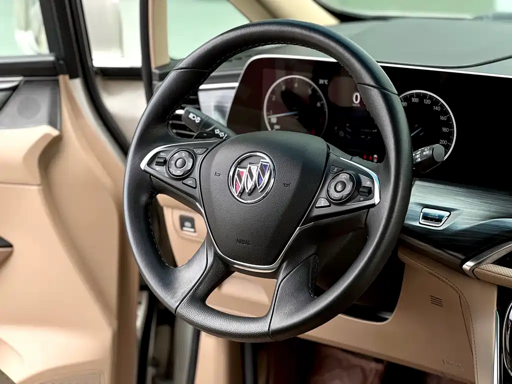 Buick GL8 — миниатюра 15