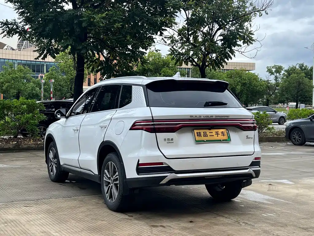 BYD Pro New Energy — миниатюра 9