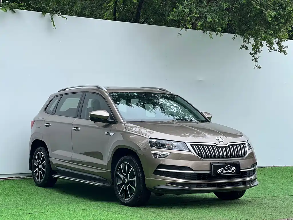 Skoda Karoq TSI280 Premium Edition, фото 3