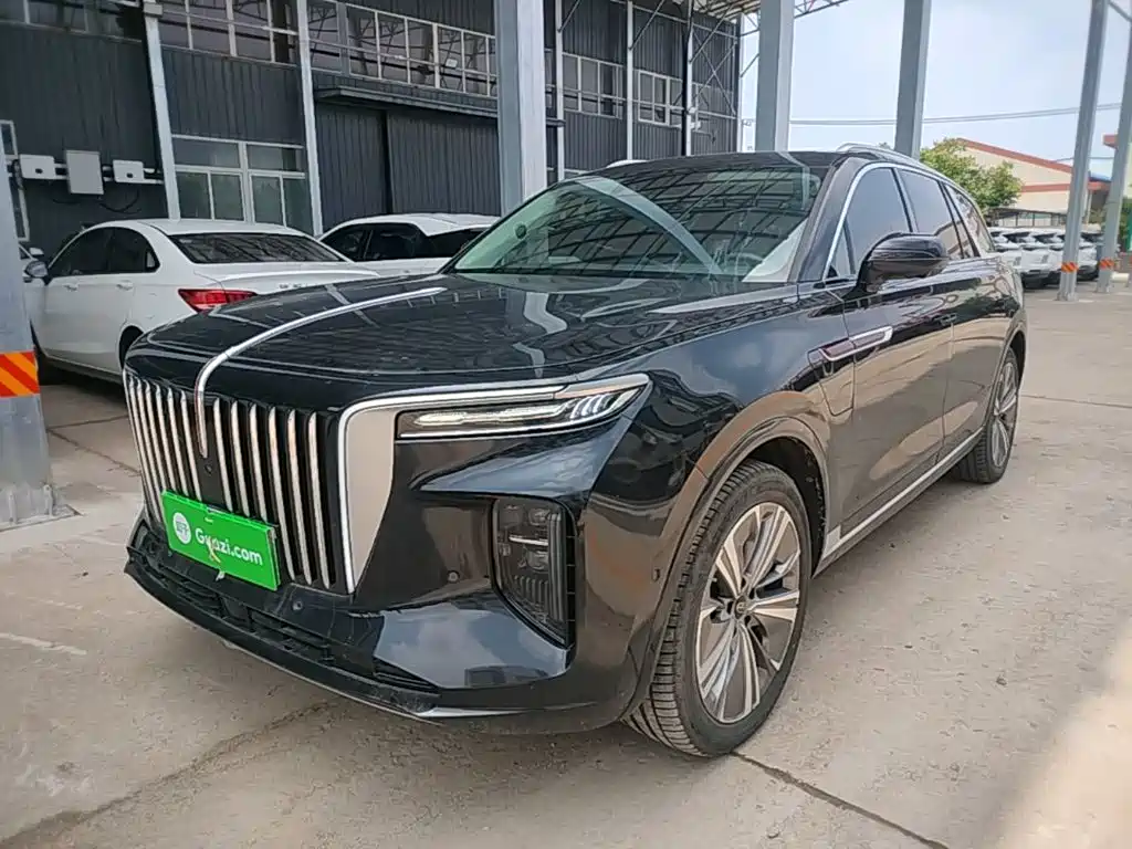 Hongqi E-HS9 2022 660km мест