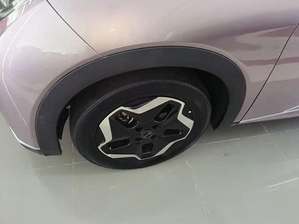 BYD Dolphin — миниатюра 23