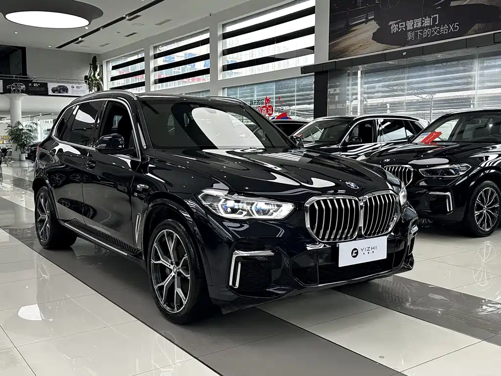 BMW X5 — миниатюра 3