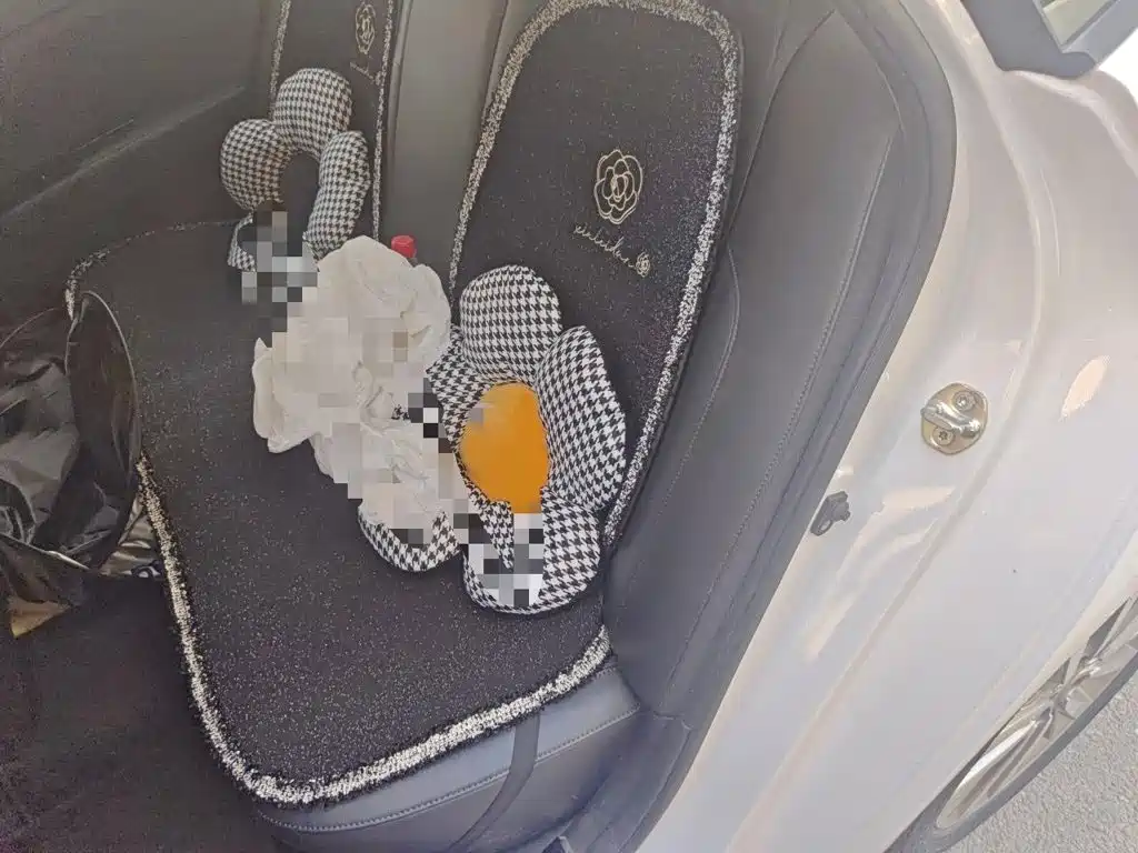 Hyundai Mistra — миниатюра 15
