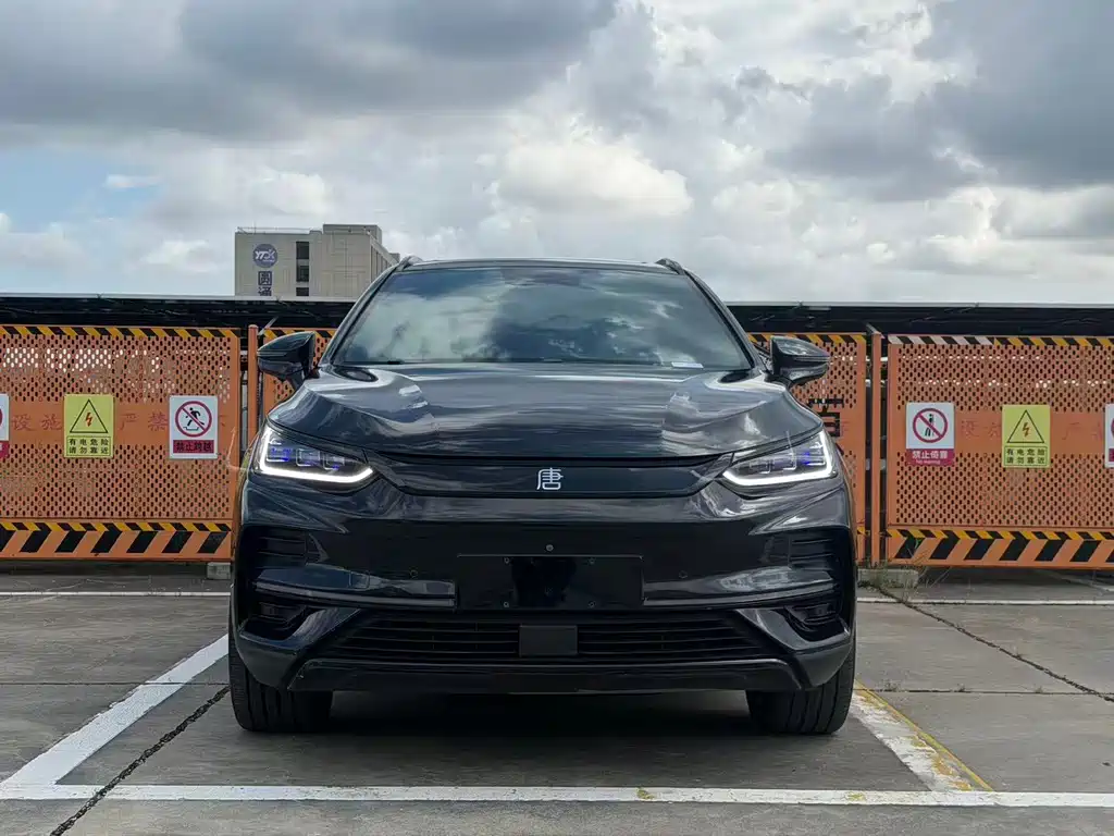 BYD Tang New Energy — миниатюра 2