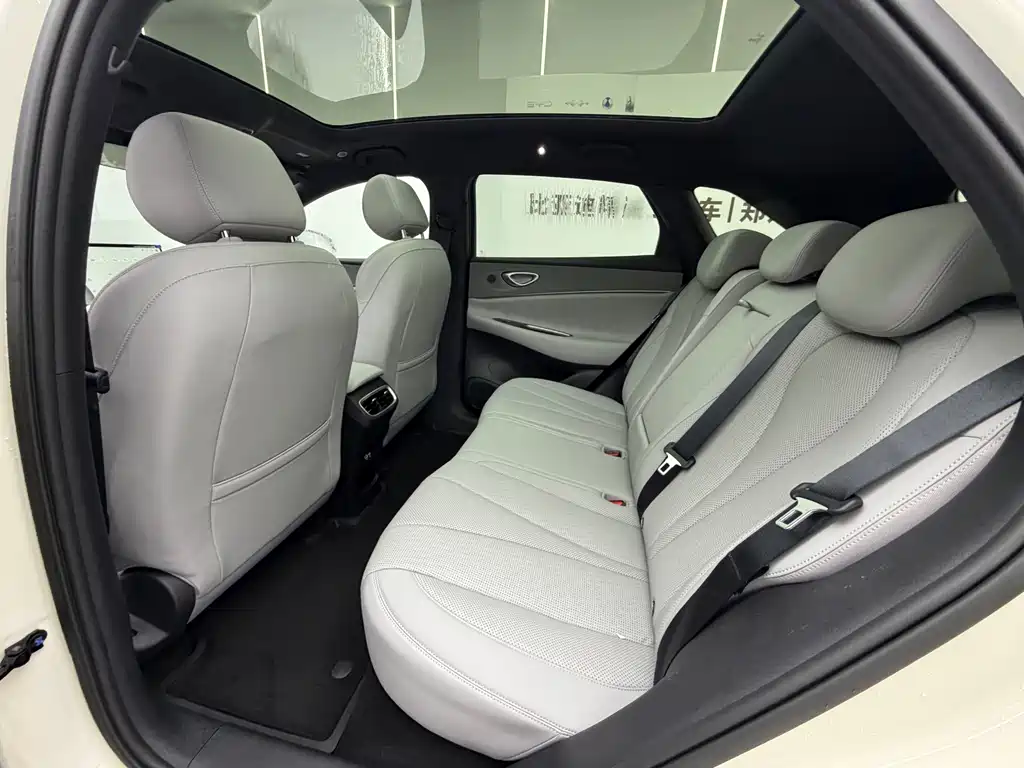 BYD Haisi 06 — миниатюра 7