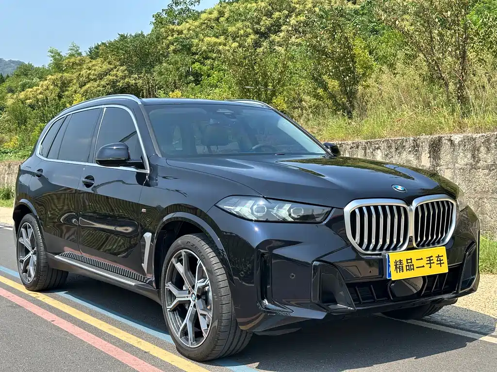 BMW X5 — миниатюра 3