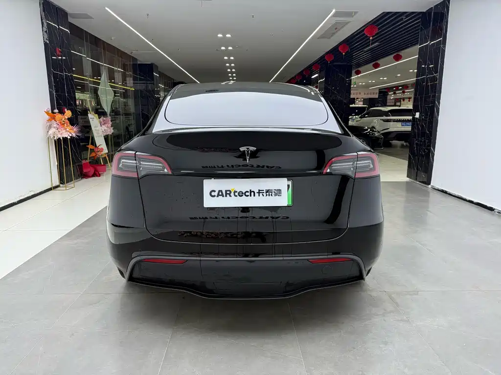 Tesla Model Y — миниатюра 4