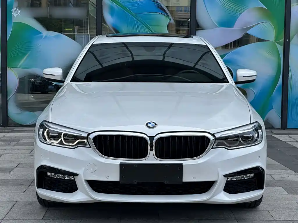 BMW 5 Series — миниатюра 5