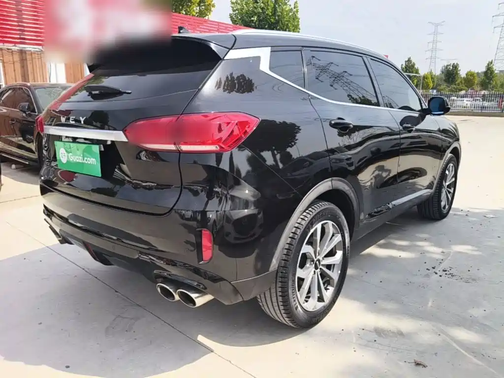 Wey Wey VV6 — миниатюра 7