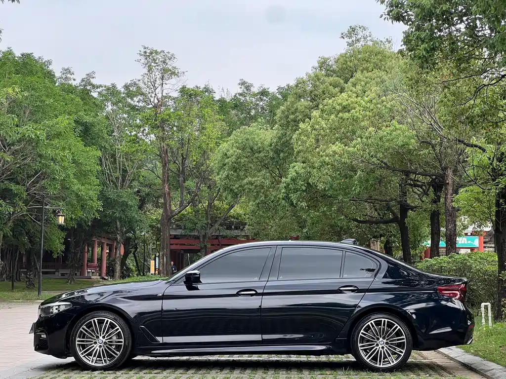 BMW 5 Series 5 2018 530Li xDrive M Sport