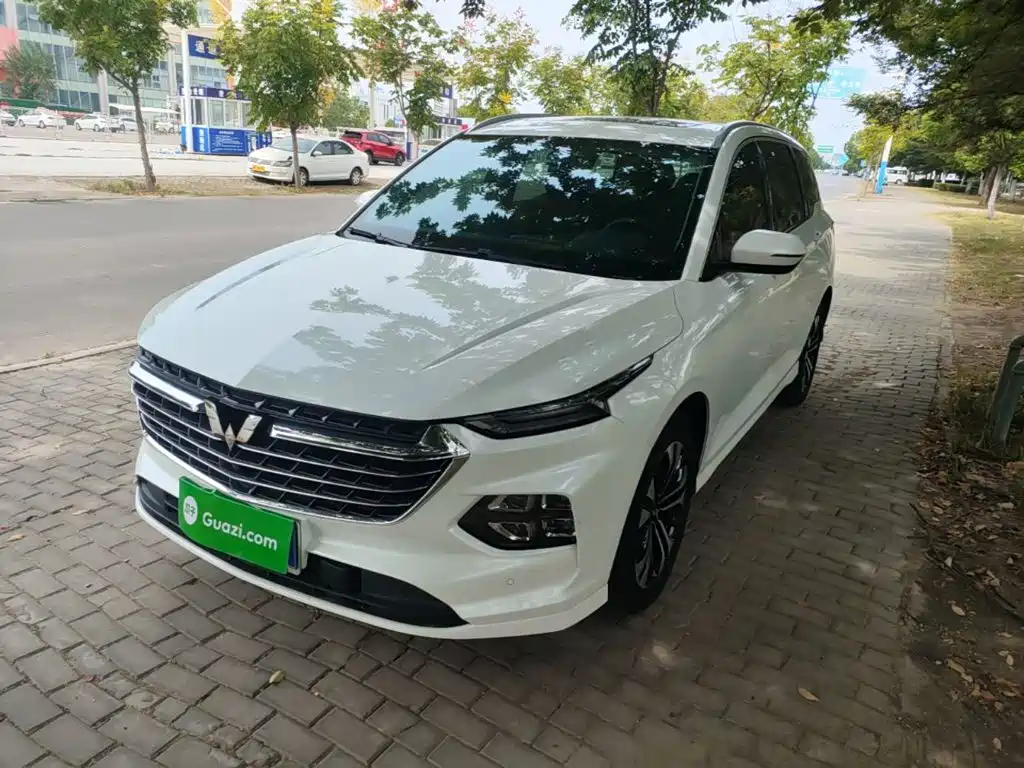 Wuling Victory