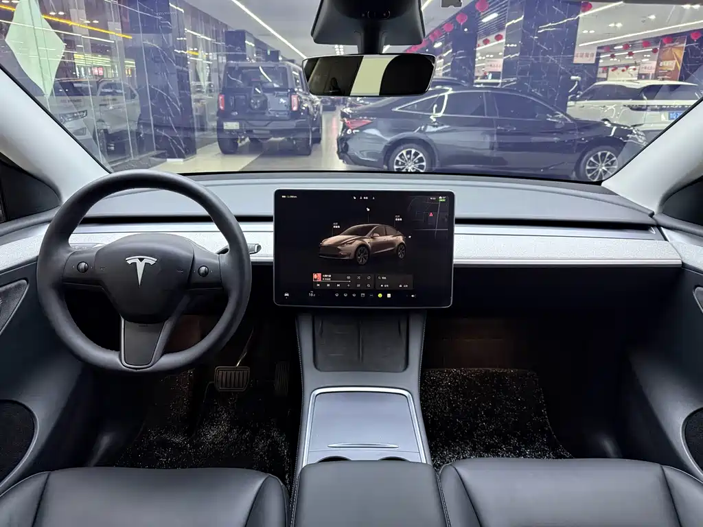Tesla Model Y — миниатюра 13