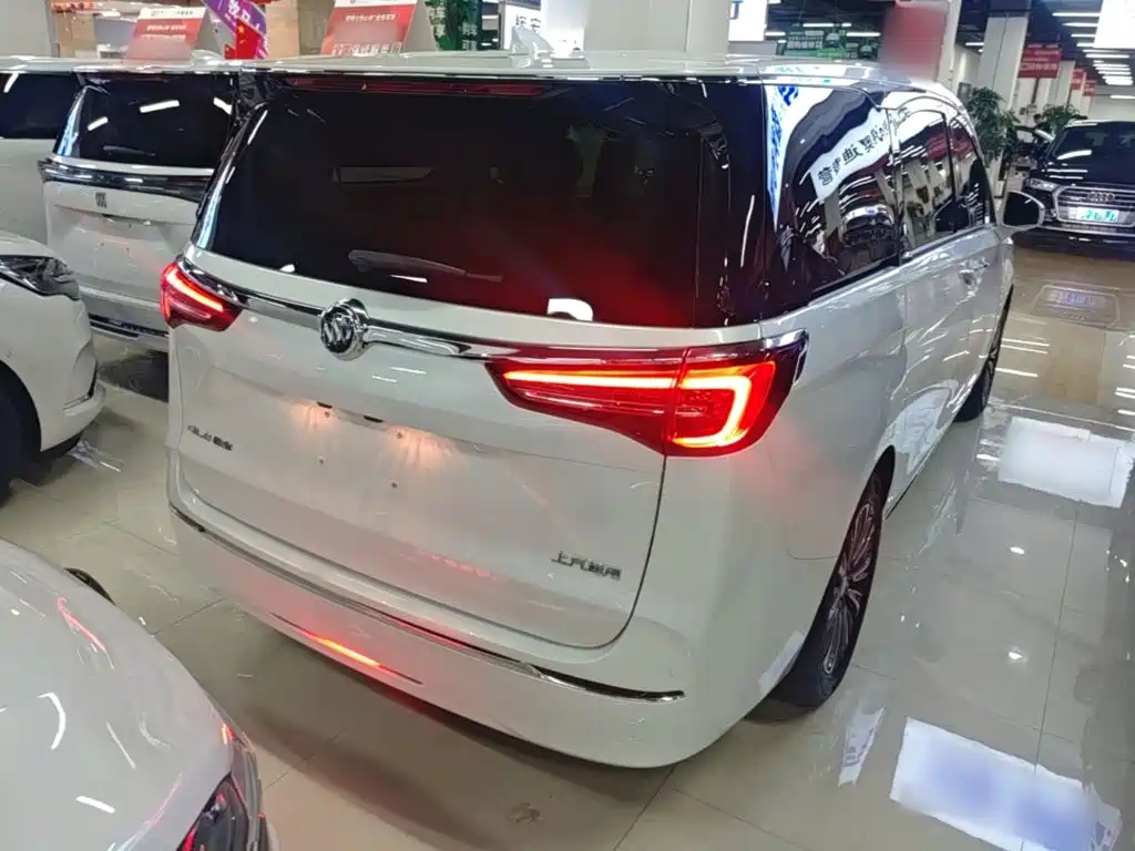 Buick GL8 — миниатюра 7
