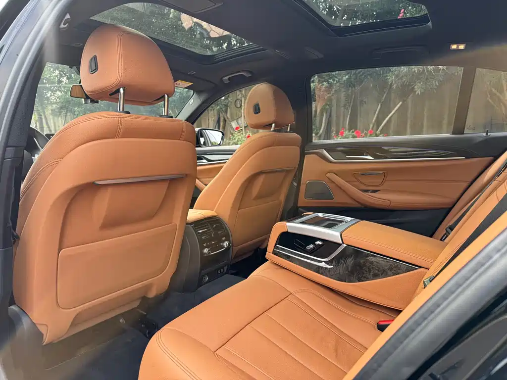 BMW 5 Series 5 2020 530Li Premium M Sport