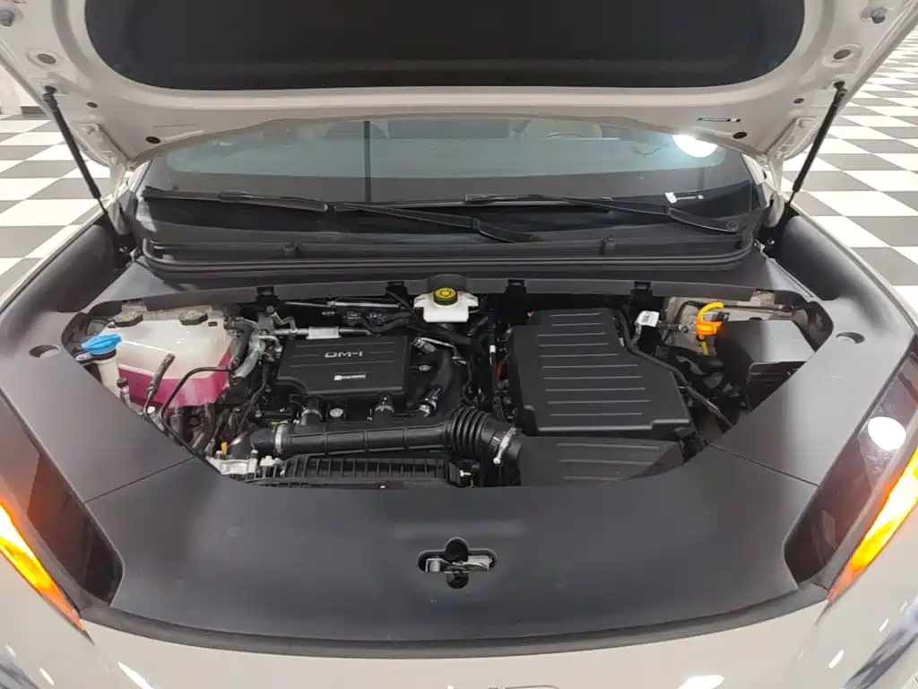 BYD Sealion 06 — миниатюра 20
