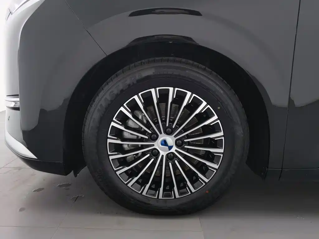 Denza Denza D9 — миниатюра 17