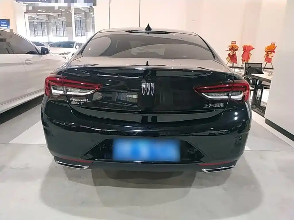 Buick Regal — миниатюра 6
