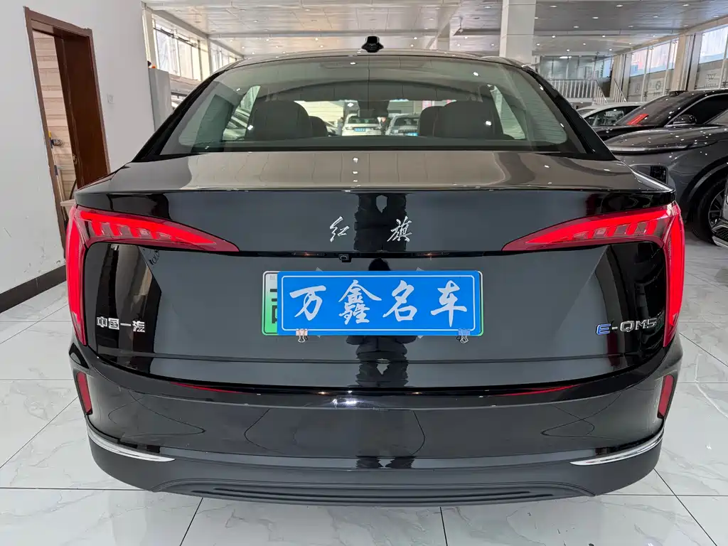 Hongqi HONGQI E QM5