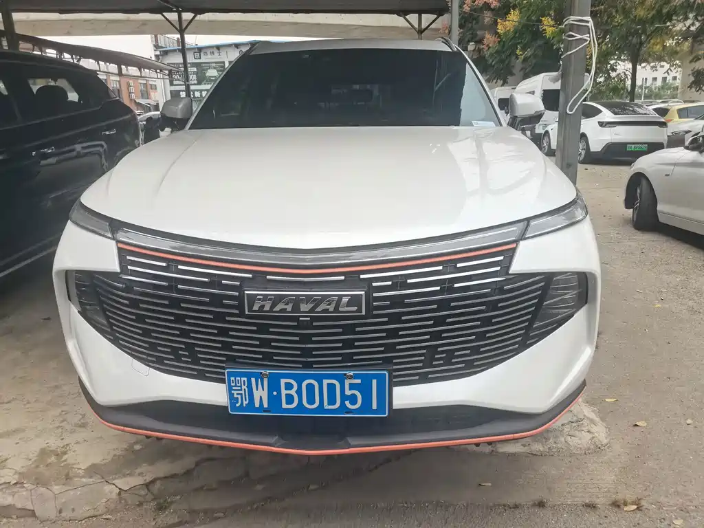 Haval Shenshou — миниатюра 2