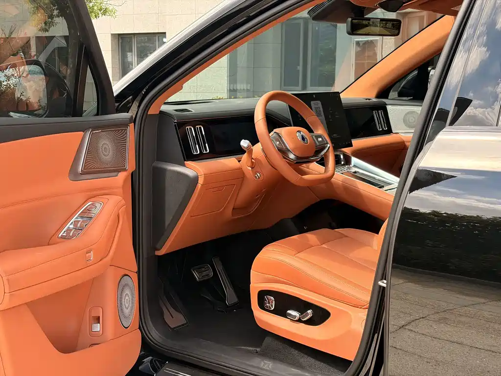 Denza Zoom N8L — миниатюра 7