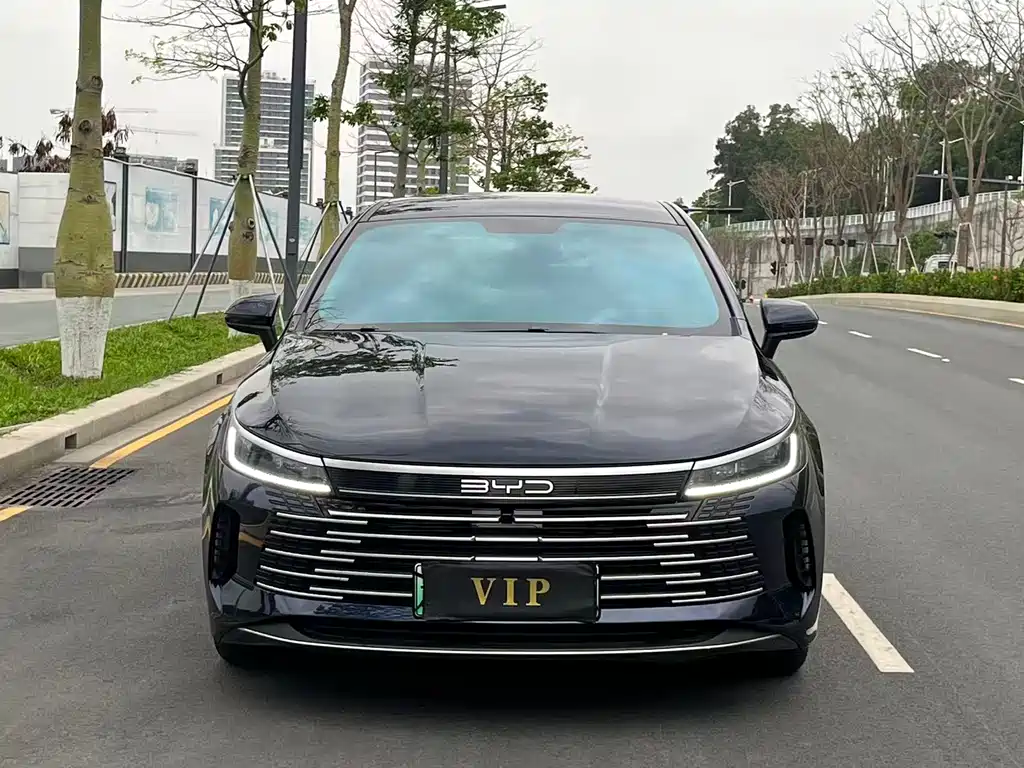 BYD Destroyer 05 2024 DM-i 55KM Luxury