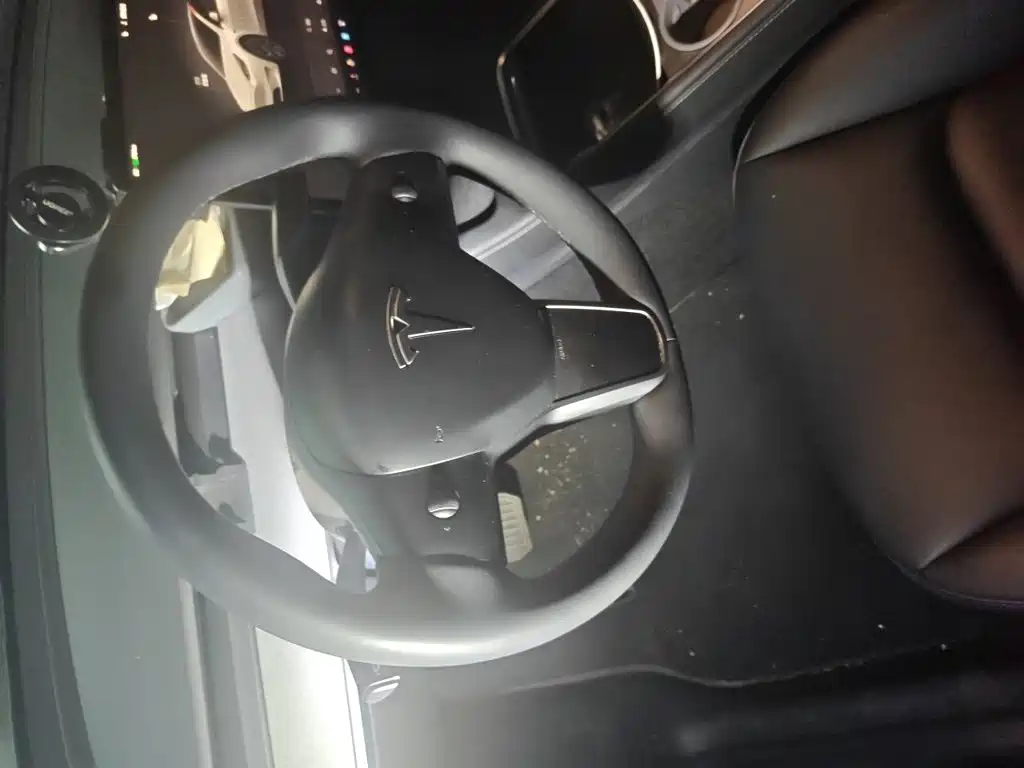 Tesla Model Y — миниатюра 6