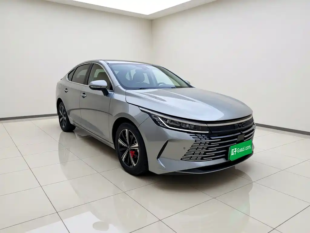 BYD Destroyer 05 — миниатюра 3