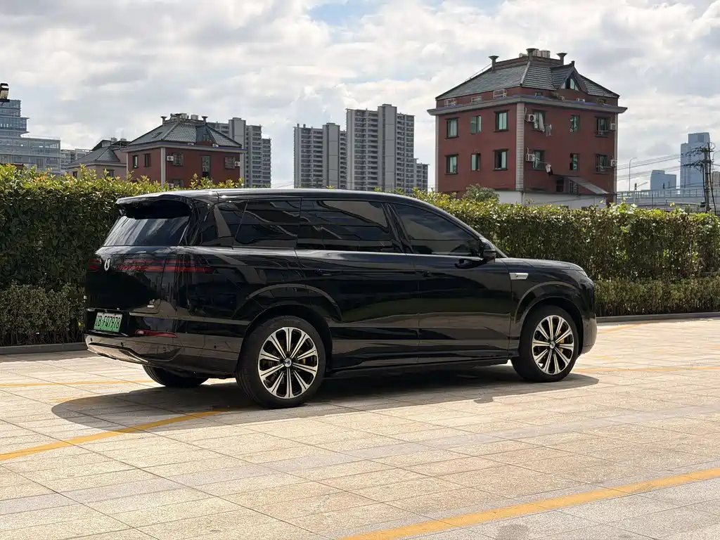 Denza Zoom N8L — миниатюра 15