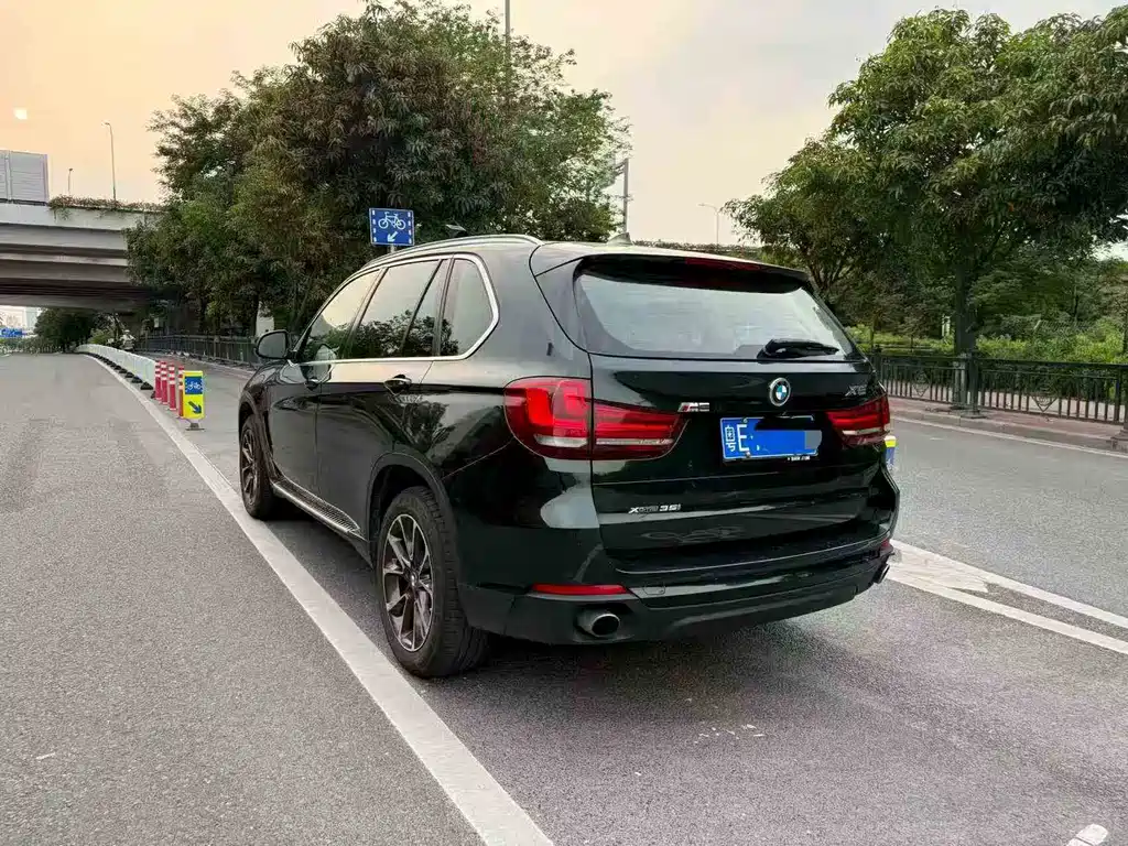 BMW X5 2014 xDrive35i Lead