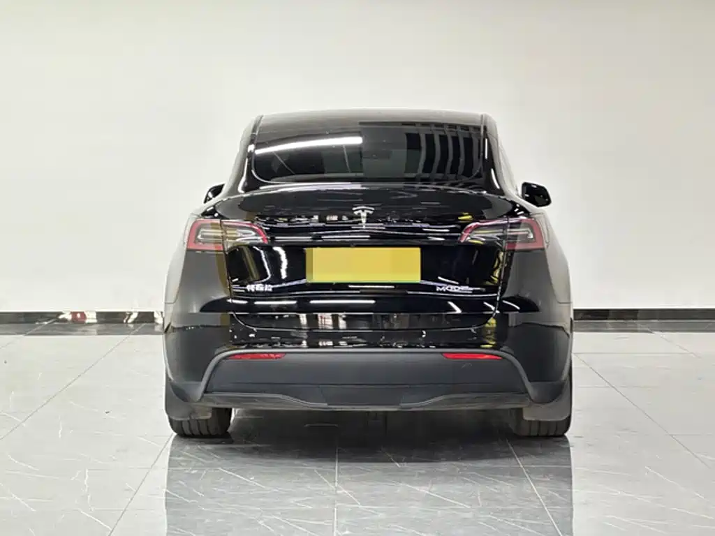Tesla Model Y — миниатюра 5