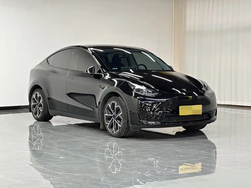 Tesla Model Y — миниатюра 7