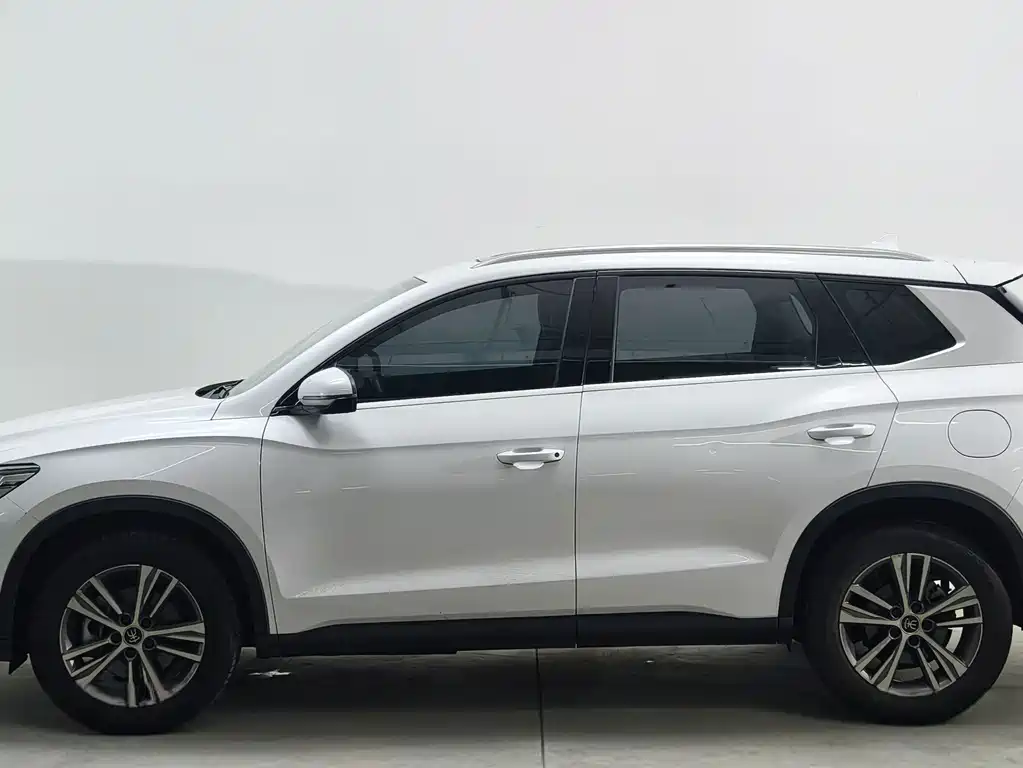 BYD Pro — миниатюра 7