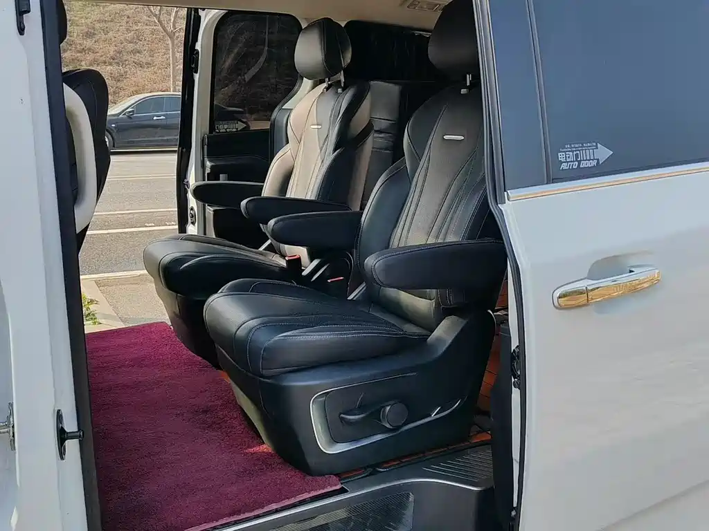 SAIC MAXUS CHASE G20