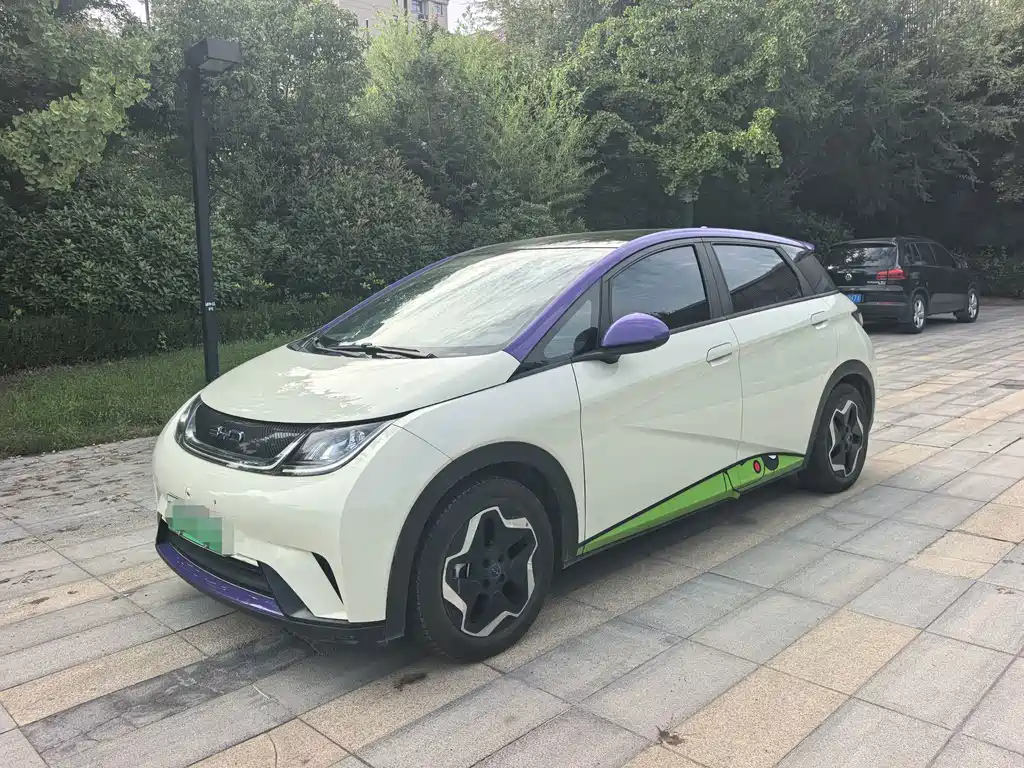 BYD Dolphin