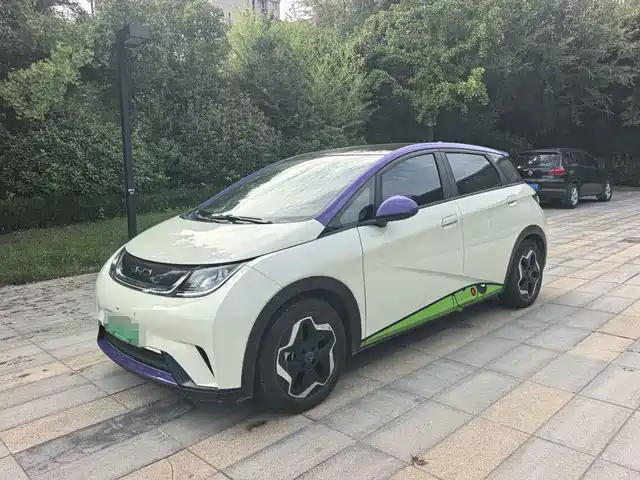 BYD Dolphin