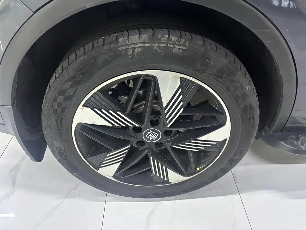 BYD Tang New Energy — миниатюра 13