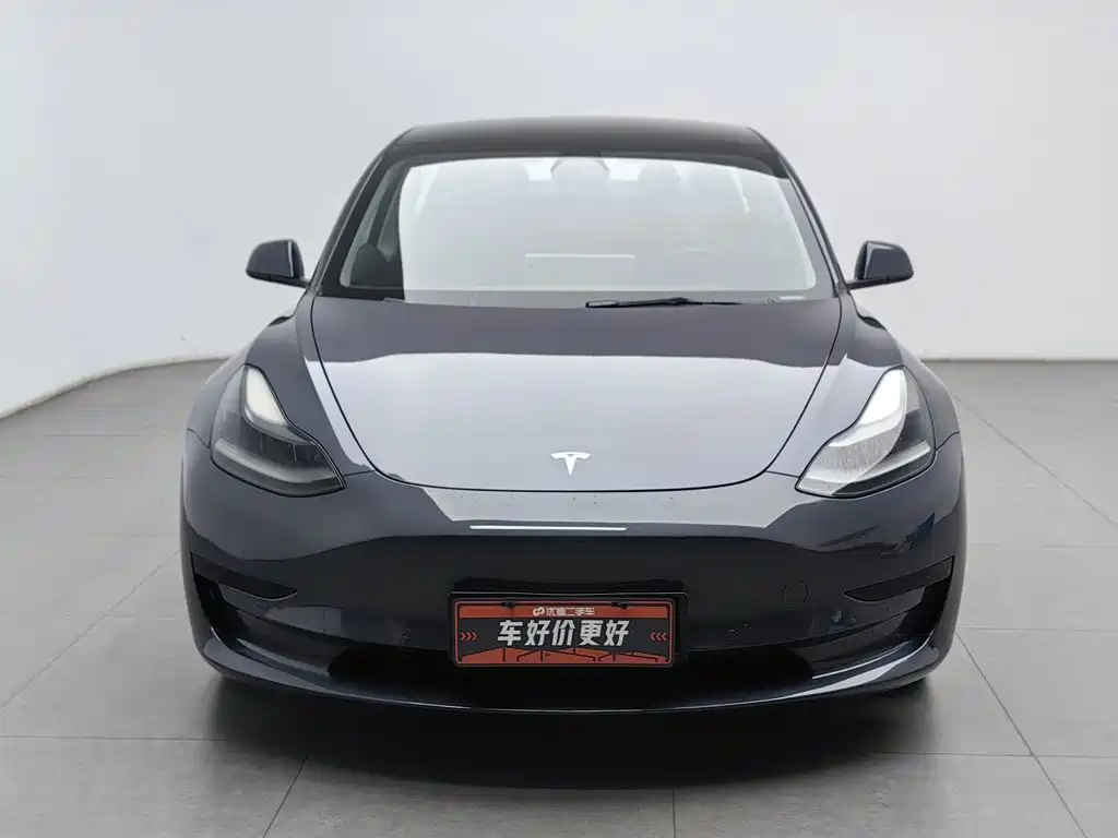 Tesla Model 3 — миниатюра 3