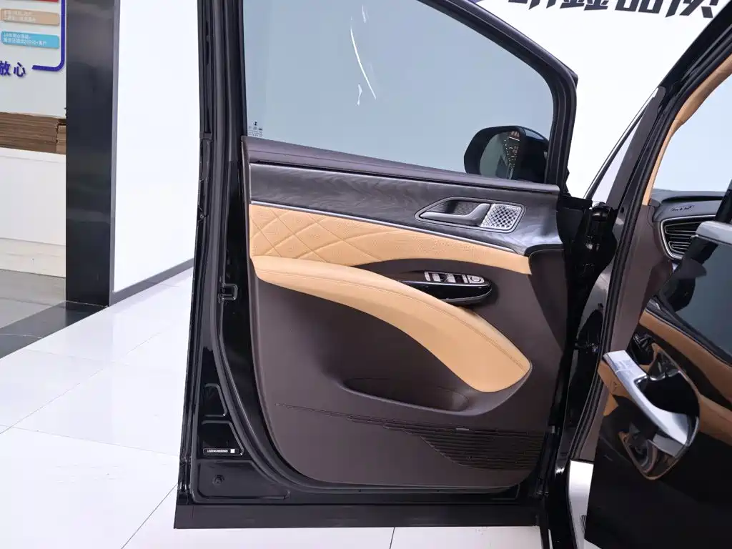 Denza Denza D9 — миниатюра 18