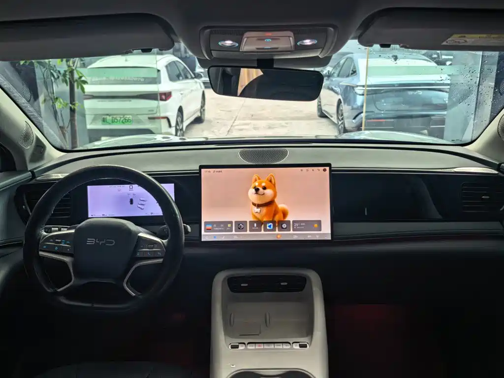 BYD Haisi 06 — миниатюра 12