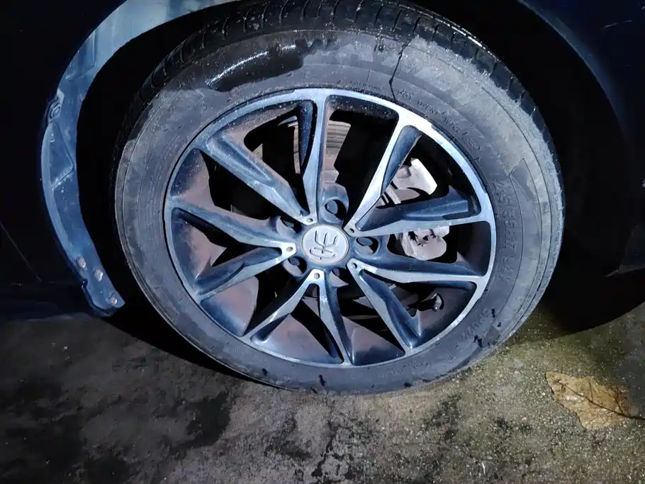 BYD MAX — миниатюра 6