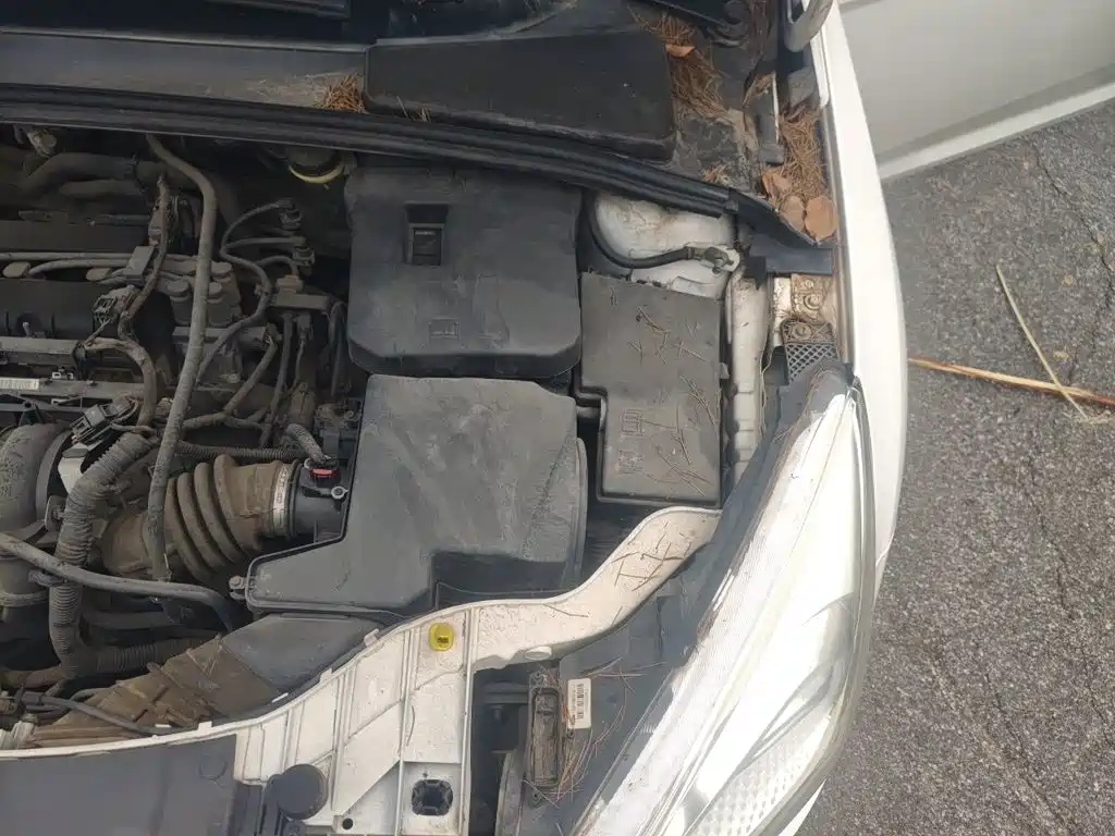Ford Focus — миниатюра 21