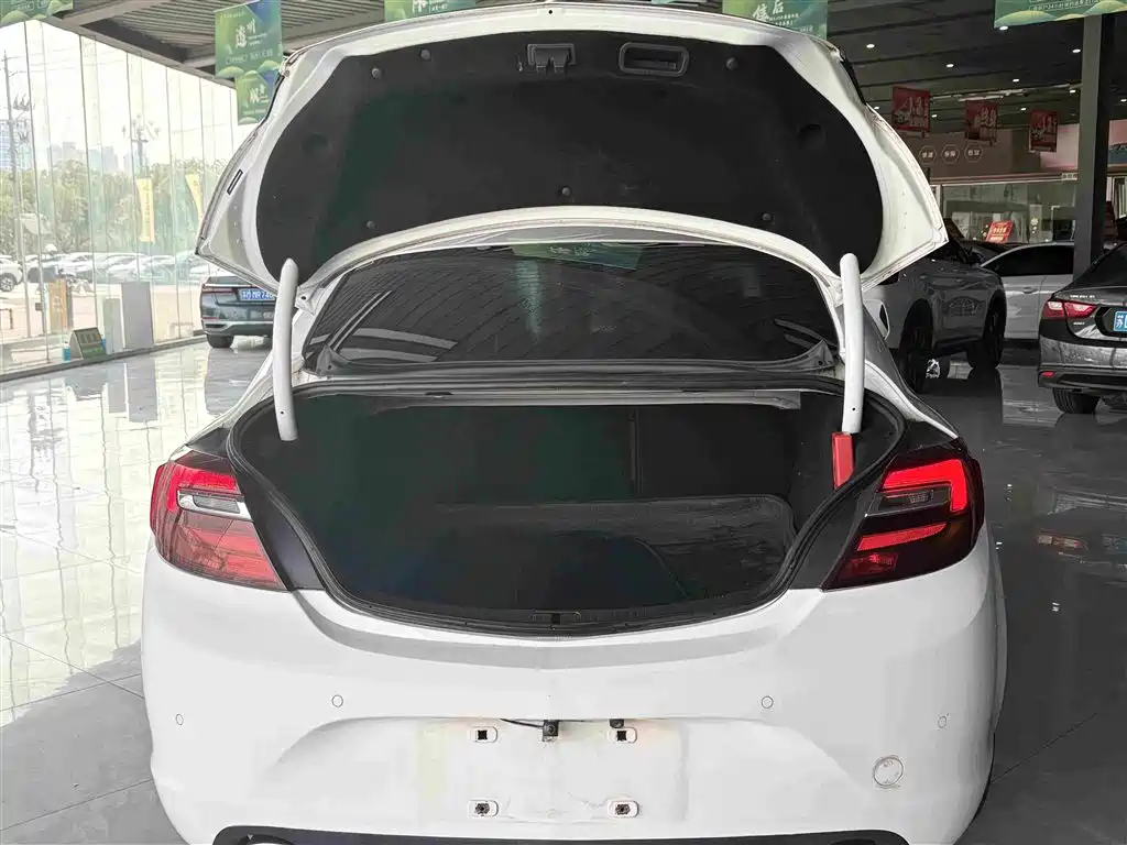 Buick Regal — миниатюра 17