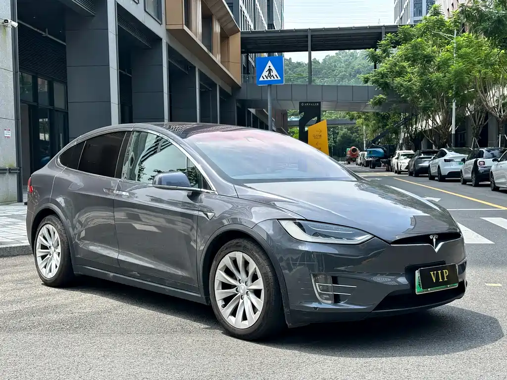 Tesla Model X — миниатюра 3
