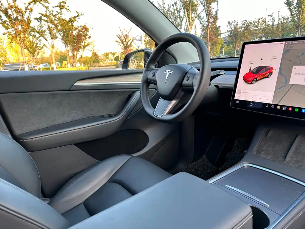 Tesla Model Y — миниатюра 12
