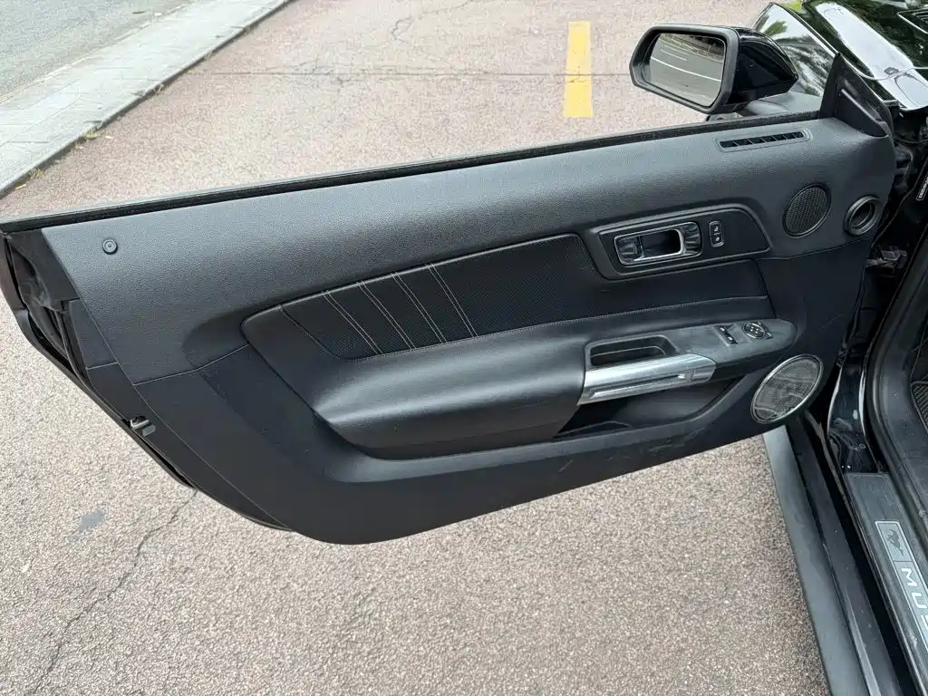 Ford Mustang — миниатюра 6