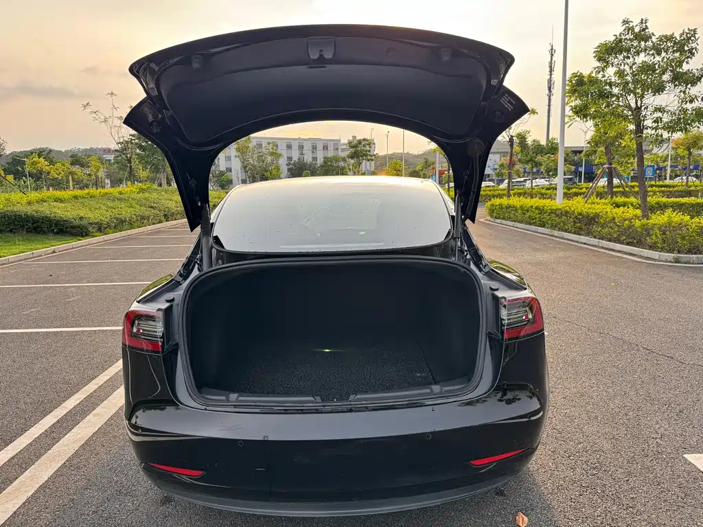Tesla Model 3 — миниатюра 31