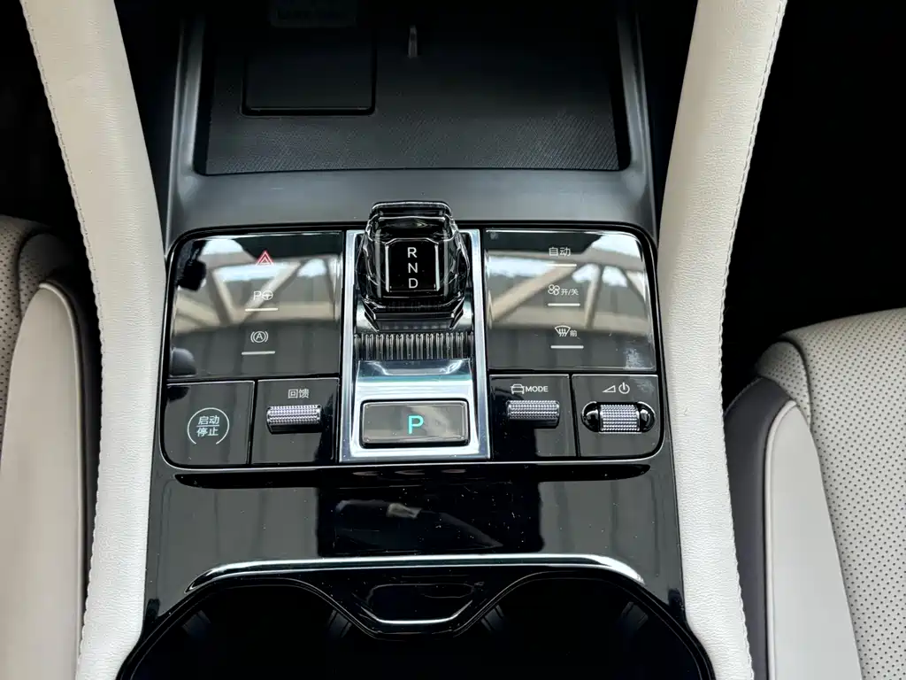 BYD SONGJIANG NEW ENERGY