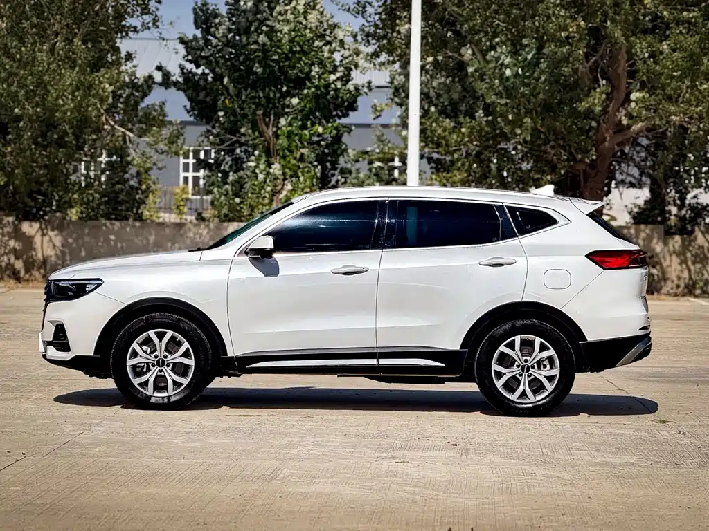 Haval H6 — миниатюра 8