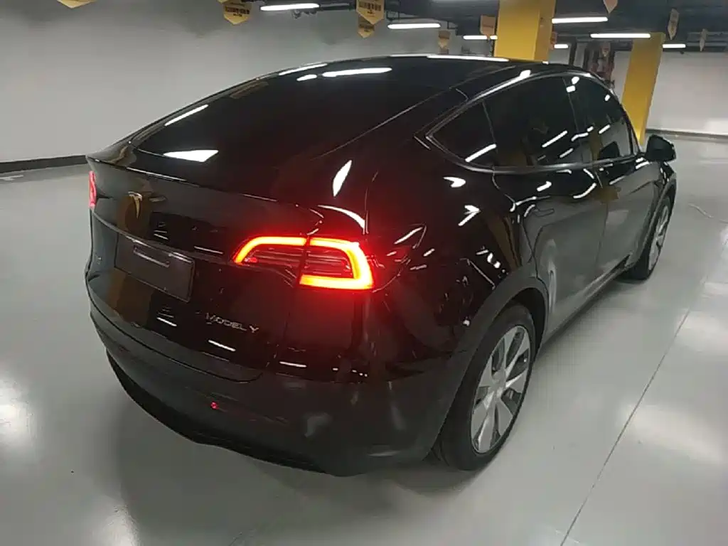 Tesla Model Y — миниатюра 7