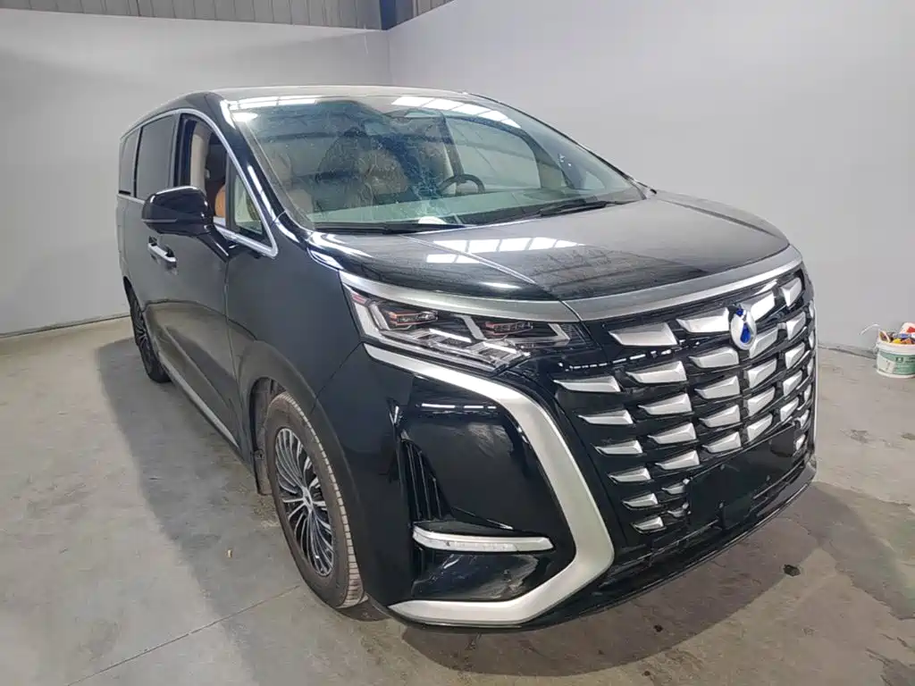 Denza Denza D9 — миниатюра 4